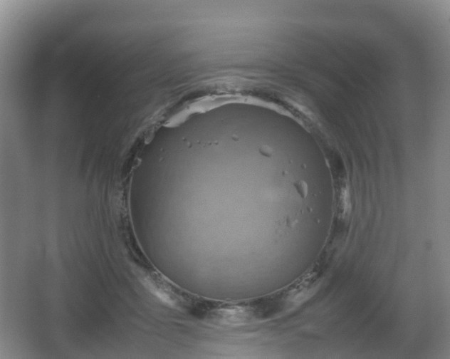 X0000067890411200604171342