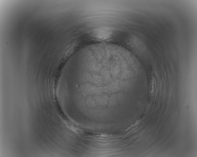 X0000067890412200604171342