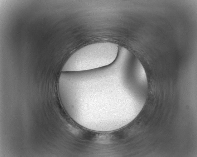 X0000067890414200604171342