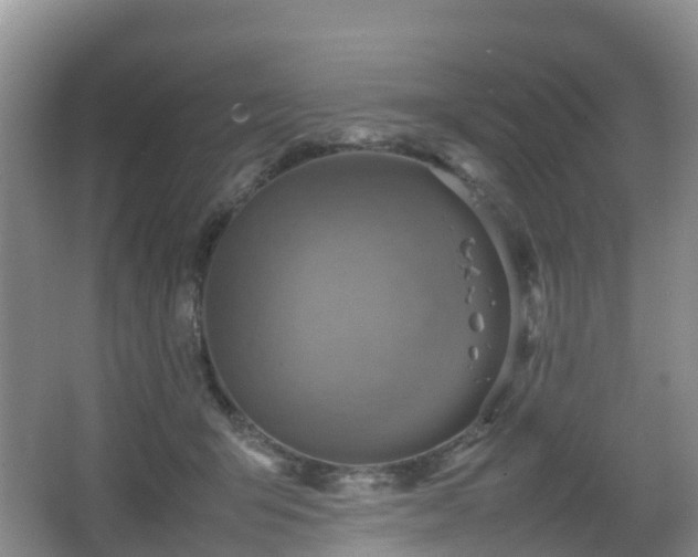 X0000067890415200604171342