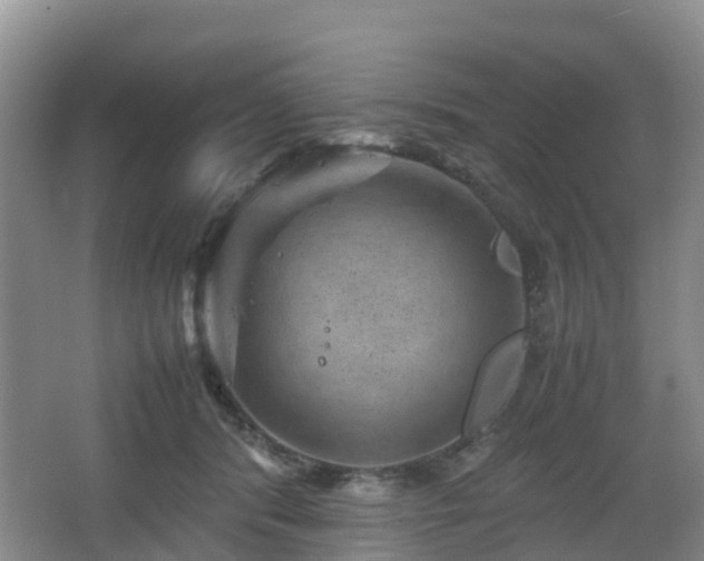 X0000067890416200604171342