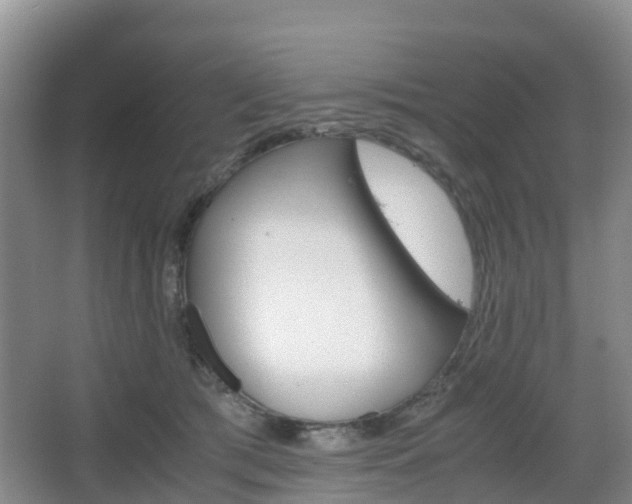 X0000067890417200604171342