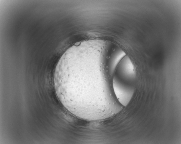 X0000067890418200604171342