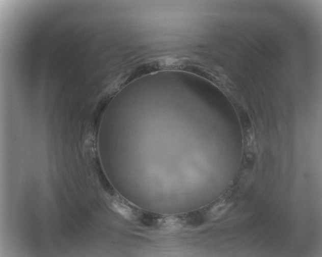 X0000067890419200604171342