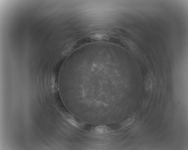 X0000067890420200604171342