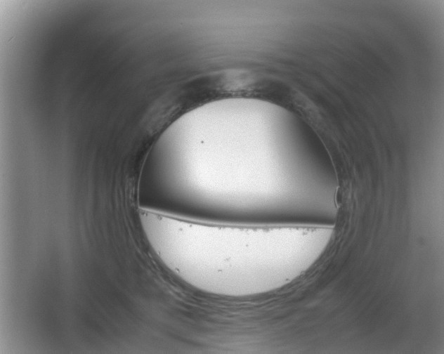 X0000067890421200604171342