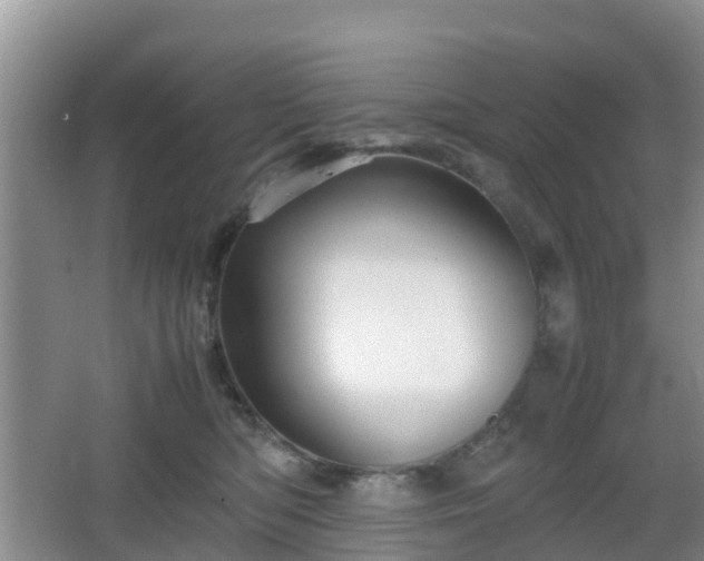 X0000067890422200604171342