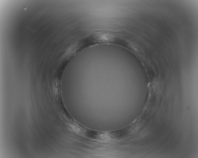 X0000067890423200604171342