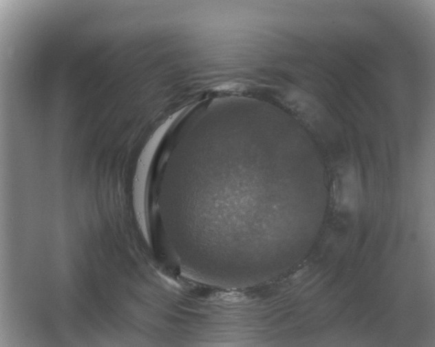 X0000067890424200604171342