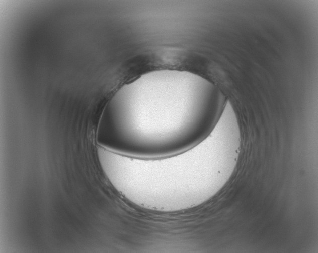 X0000067890425200604171342