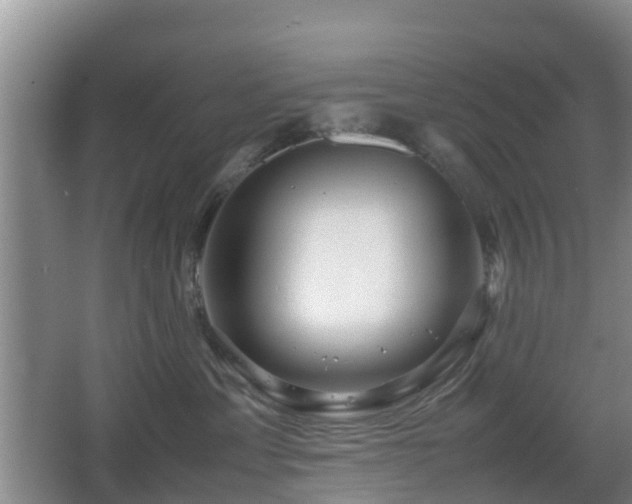 X0000067890429200604171342