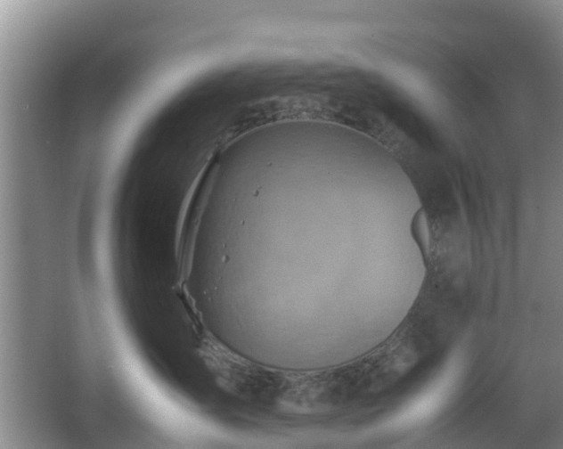 X0000067890431200604171342