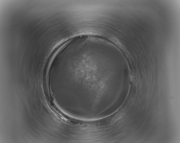 X0000067890434200604171341