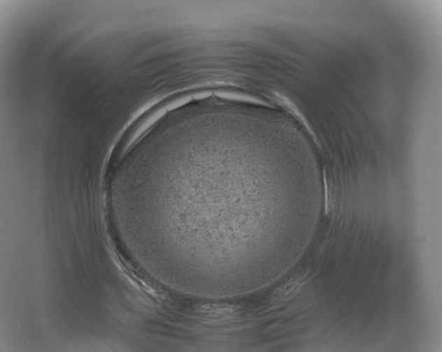 X0000067890435200604171341