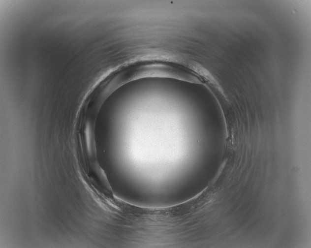 X0000067890436200604171341