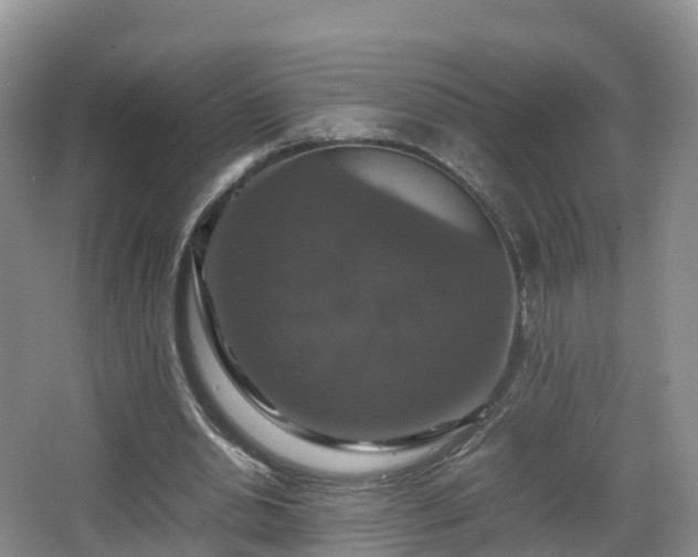 X0000067890438200604171341