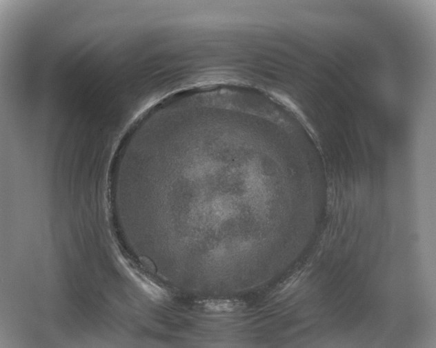 X0000067890439200604171341