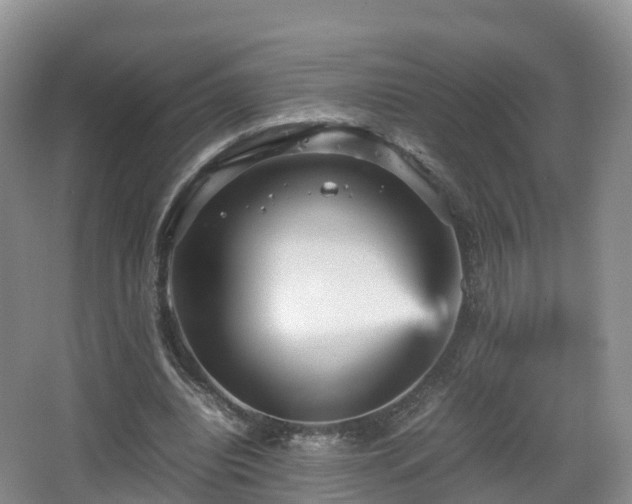 X0000067890440200604171341