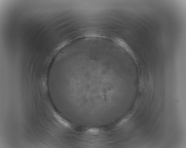 X0000067890441200604171341