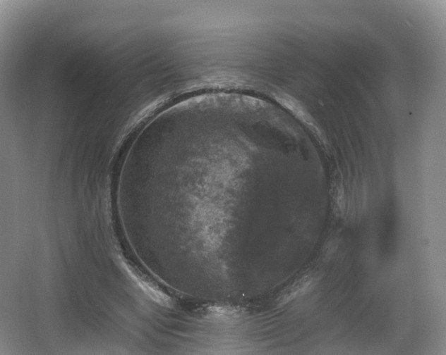 X0000067890442200604171341