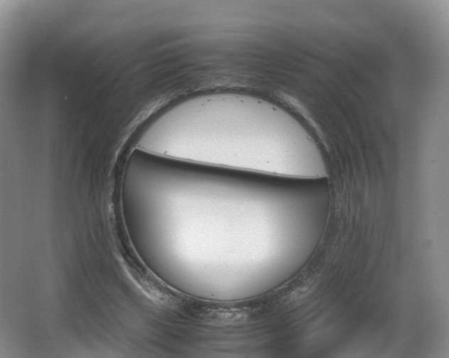 X0000067890443200604171341