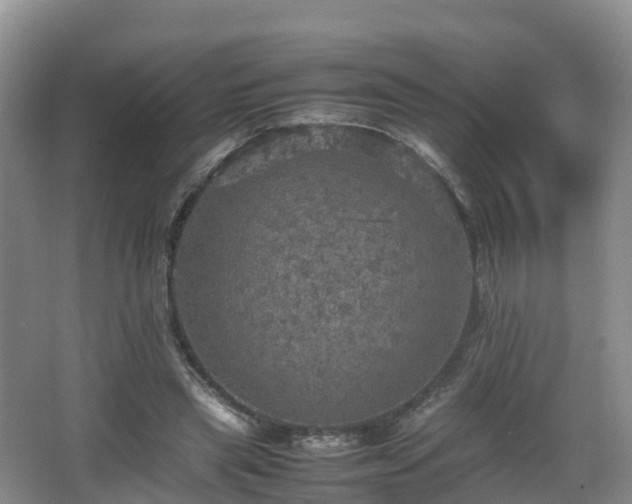 X0000067890445200604171341