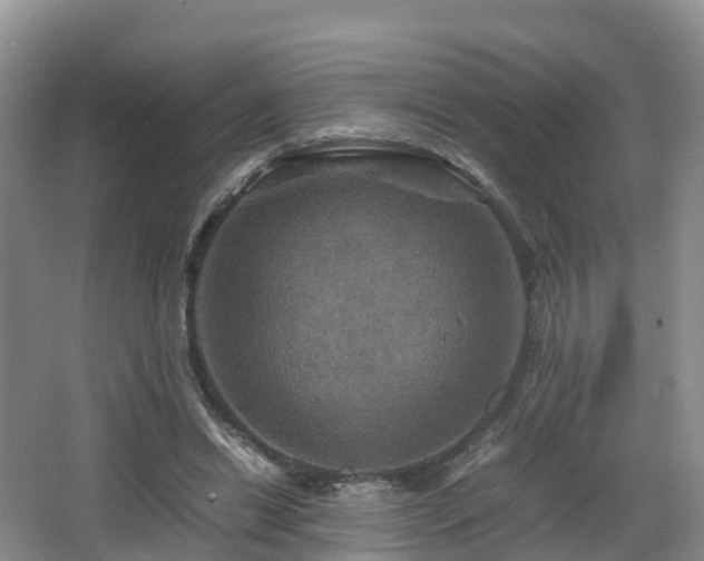 X0000067890446200604171341