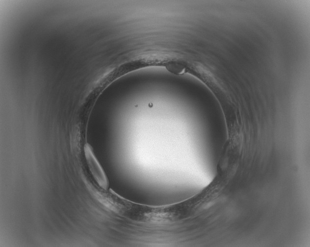 X0000067890448200604171341