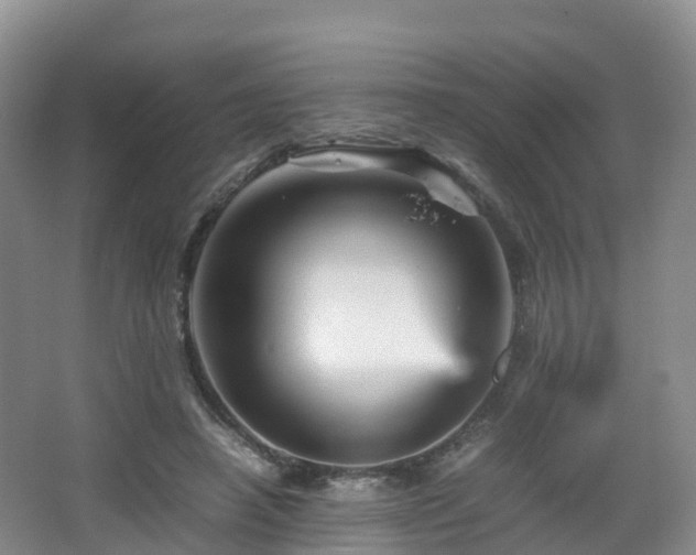 X0000067890450200604171341