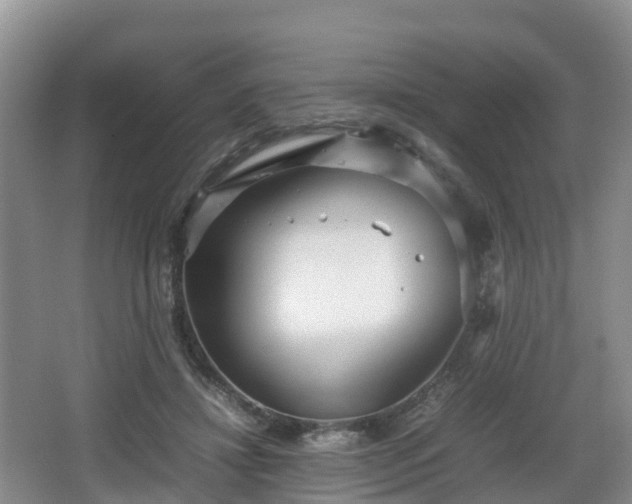 X0000067890452200604171341