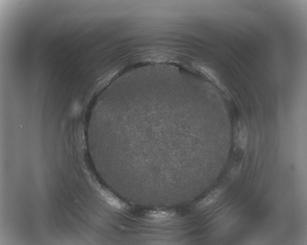 X0000067890453200604171341