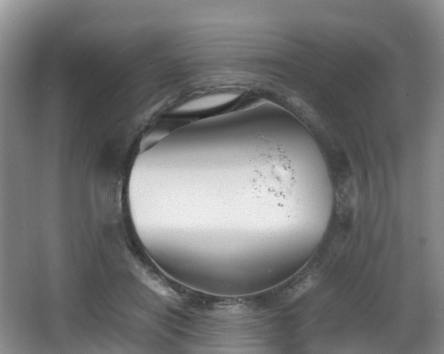 X0000067890454200604171341