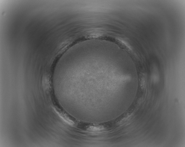 X0000067890455200604171341