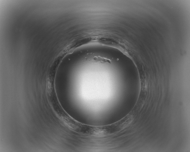 X0000067890456200604171341