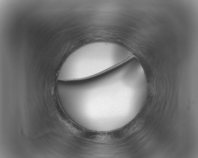 X0000067890458200604171341