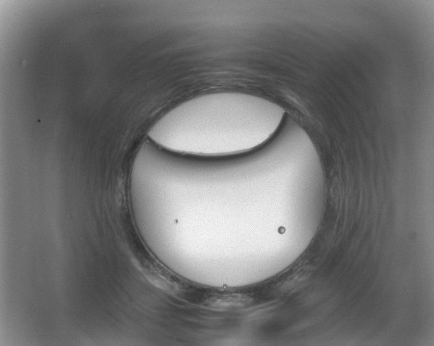 X0000067890459200604171341