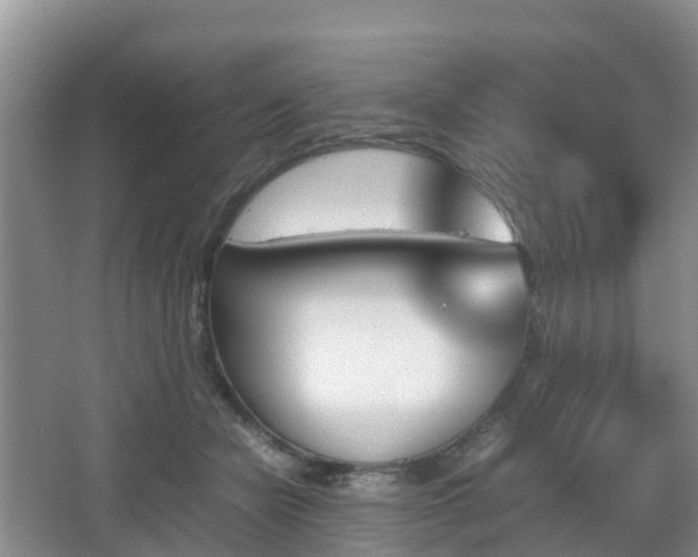 X0000067890462200604171341