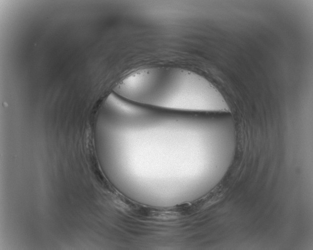 X0000067890463200604171341