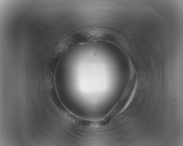 X0000067890464200604171341