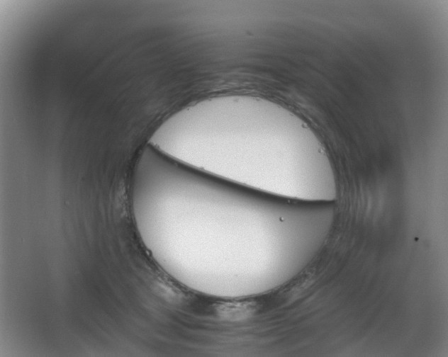 X0000067890465200604171341