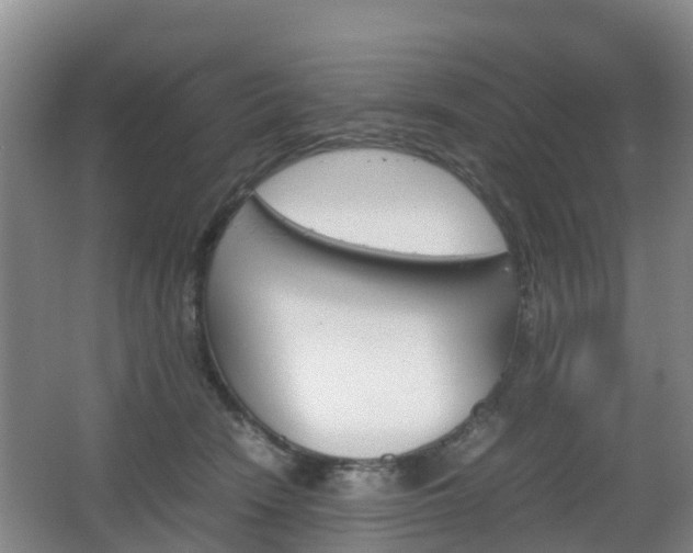 X0000067890466200604171341