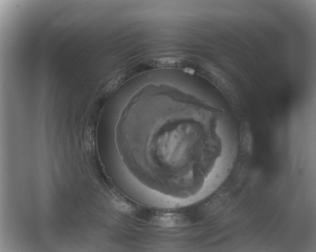 X0000067890467200604171341