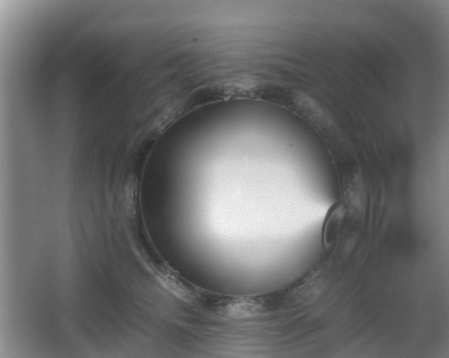 X0000067890468200604171342