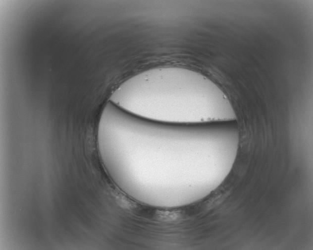 X0000067890469200604171342