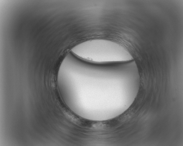 X0000067890470200604171342