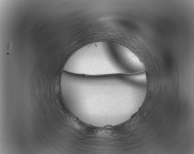 X0000067890471200604171342