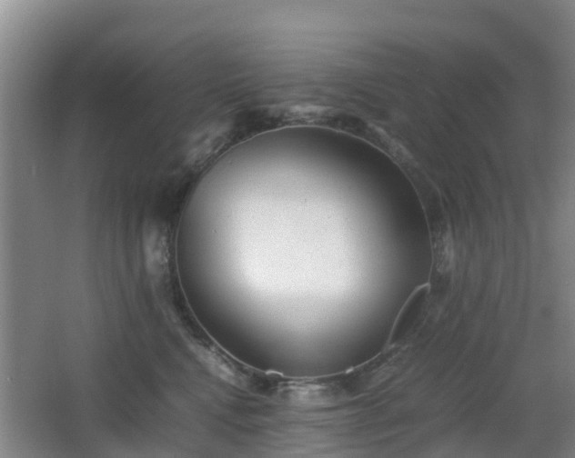 X0000067890472200604171342