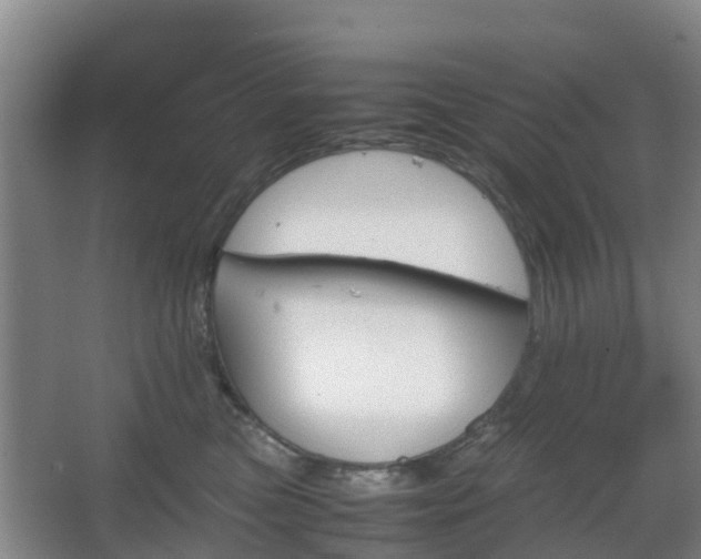 X0000067890473200604171342