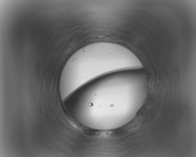 X0000067890474200604171342