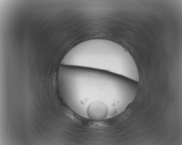 X0000067890475200604171342